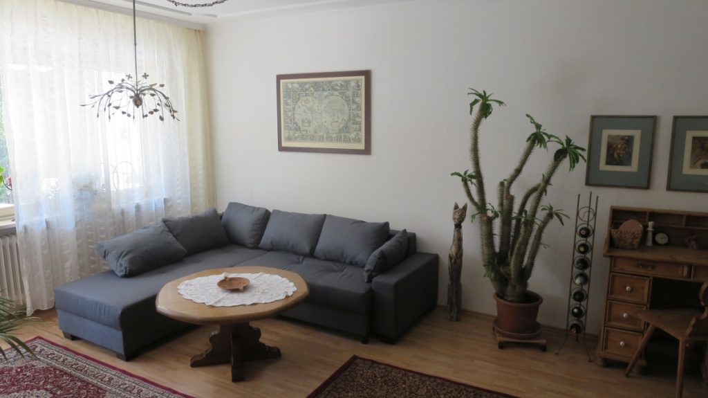 EG-10 Wohnzimmer-2