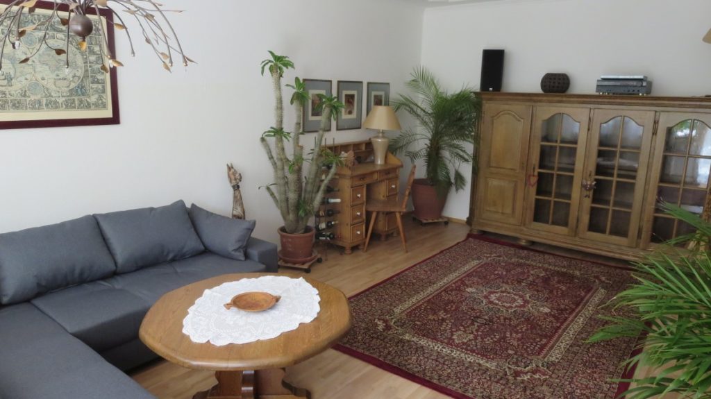 EG-11 Wohnzimmer-3